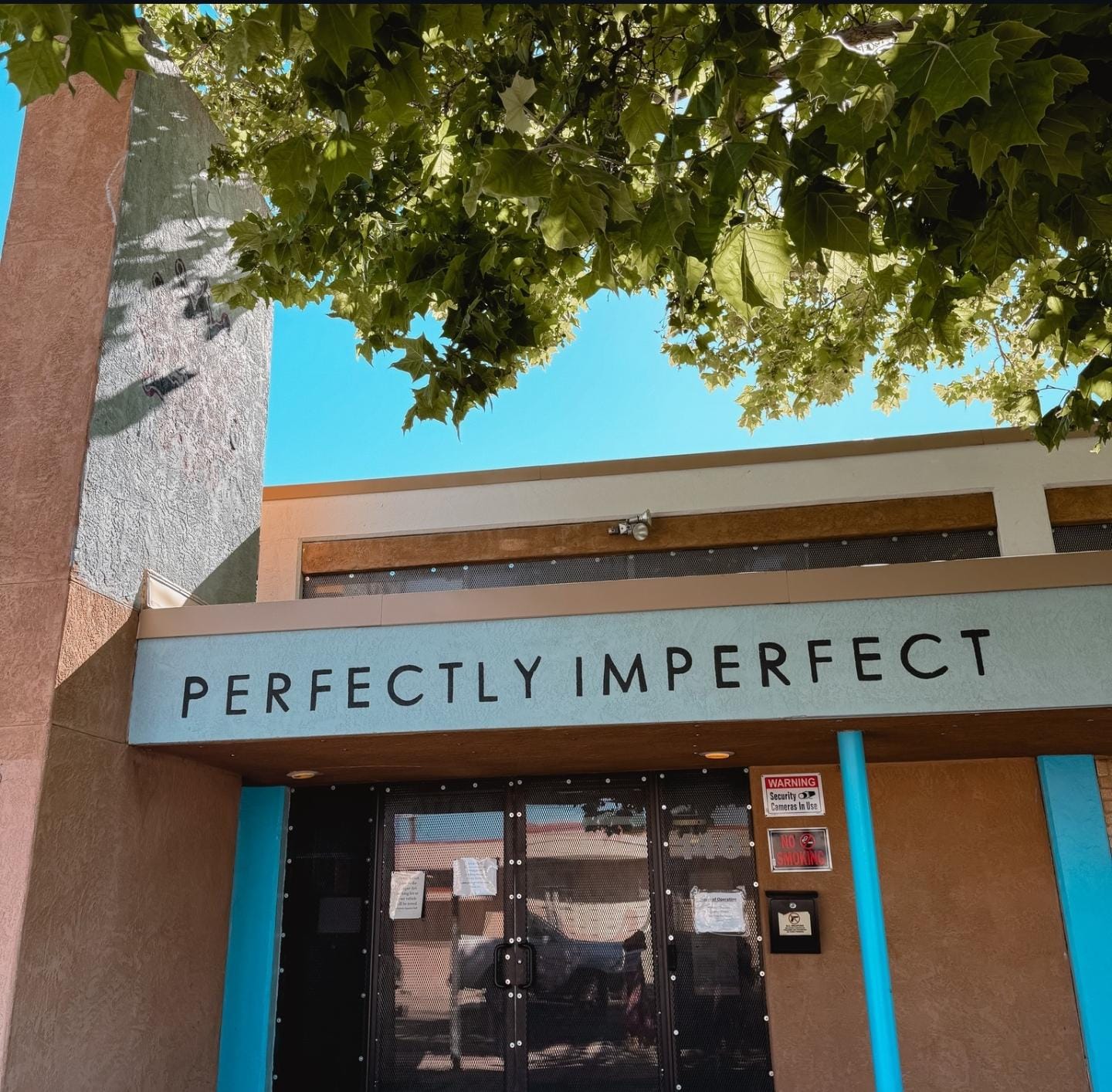 Perfectly Imperfect